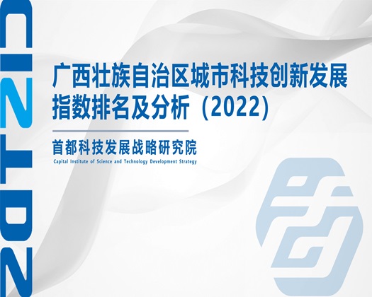 操韩国女人逼【成果发布】广西壮族自治区城市科技创新发展指数排名及分析（2022）